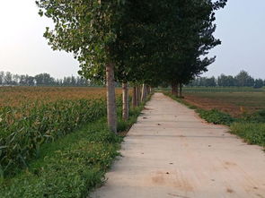 長(zhǎng)治山東民泰土地咨詢 種子苗木產(chǎn)業(yè)的戰(zhàn)略伙伴